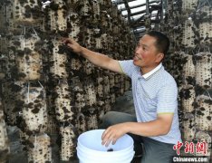 “一木独大”到“百花齐放”！解码中国最大国