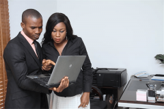 木材之家：精准把握木材市场消息脉搏