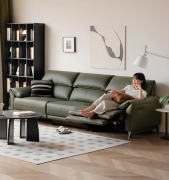 荣膺“杰出影响力品牌”源氏木语以匠心质量引